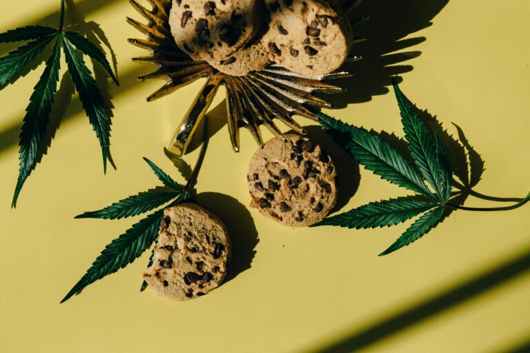 Chocolate chip weed cookies surrounded by weed leaves on a yellow table.