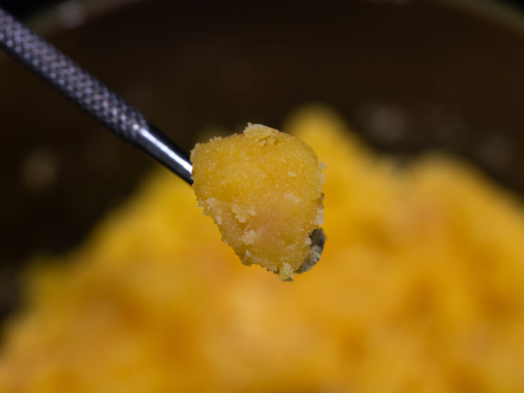 Metal scoop of cannabis sugar concentrate.