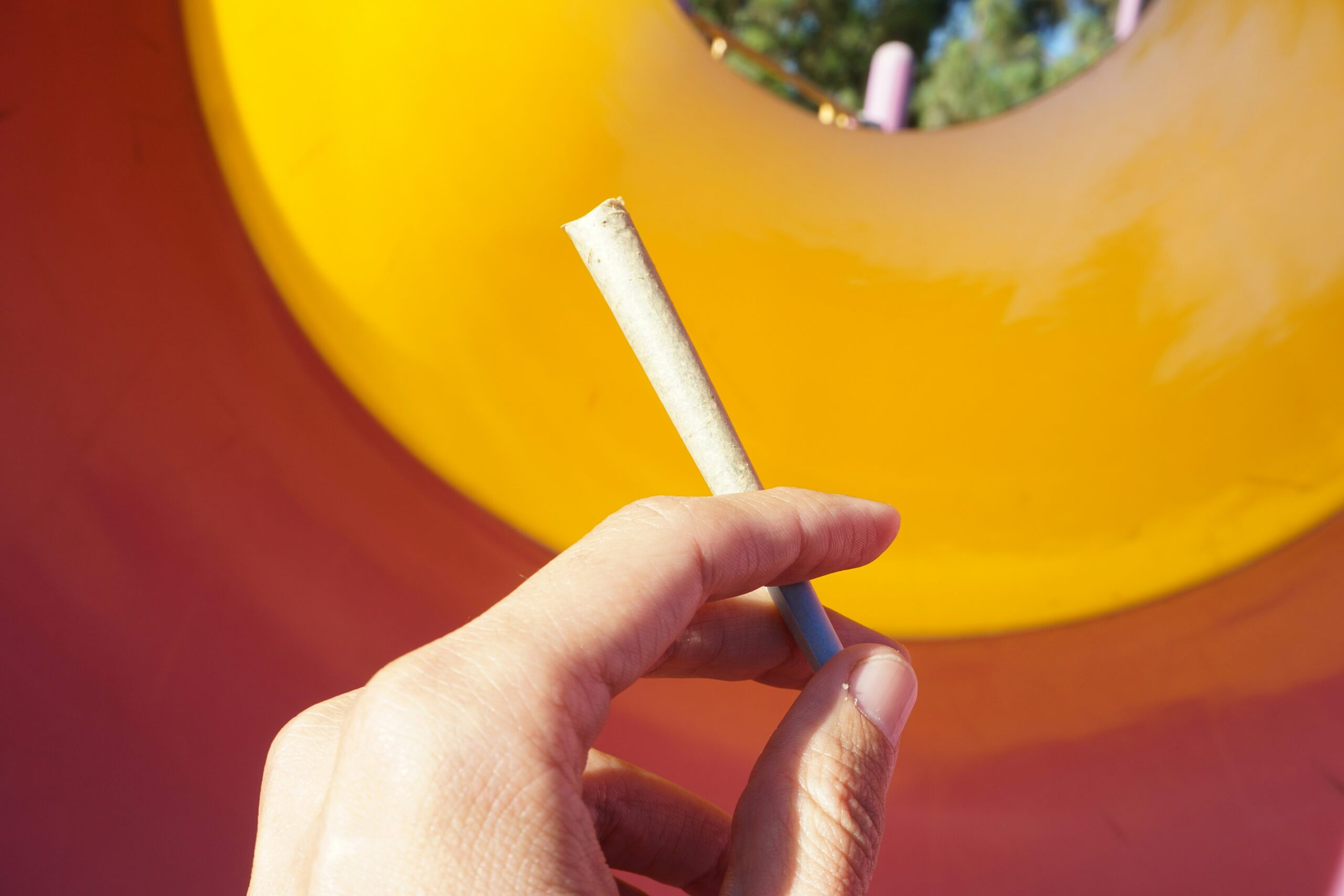 Hand holding a cannabis preroll.