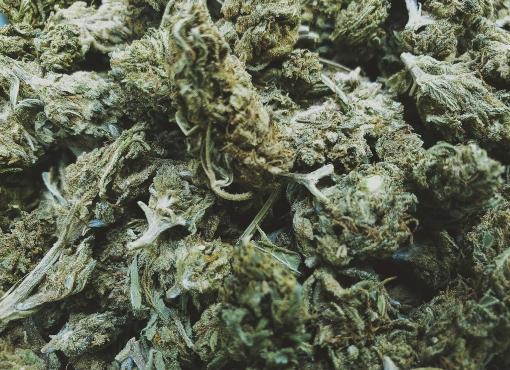 Close-up of dense trichome-covered cannabis flower buds, representing the myrcene-dominant indica strains like GMO Cookies and Purple Punch, recommended for insomnia at NJ dispensaries